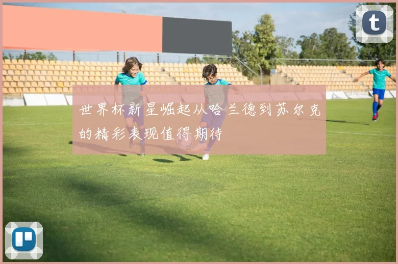 世界杯新星崛起从哈兰德到苏尔克的精彩表现值得期待